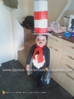 Homemade Cat in the Hat Kids Costume