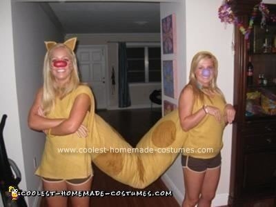 Homemade Catdog Costume