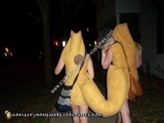 Homemade Catdog Couples Halloween Costume