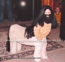 Homemade Centaur Half Man Half Horse Costume