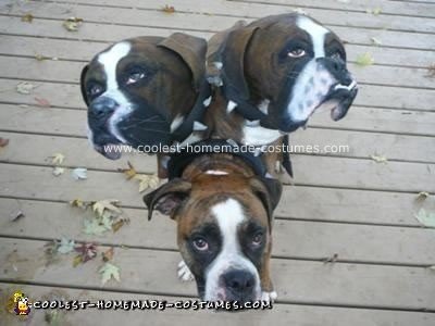 Coolest Homemade Cerberus Costume - Dog Halloween Costume Ideas