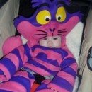 Homemade Cheshire Cat Halloween Costume