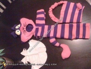 Homemade Cheshire Cat Halloween Costume