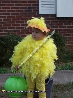 Homemade Chicken Costume