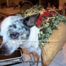 Homemade Chihuahua Chalupa Costume