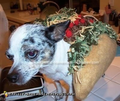 Homemade Chihuahua Chalupa Costume