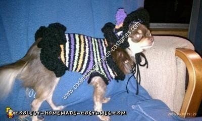 Homemade Chihuahua Dog Witch Costume
