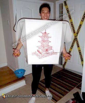 Homemade Chinese Take Out Costume