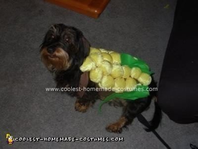 Homemade Corn Dog Costume