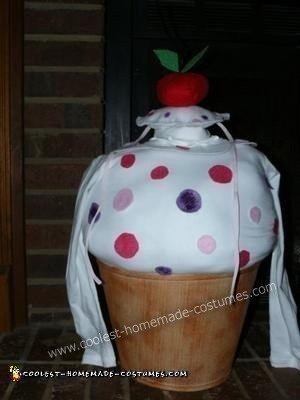 Homemade Cupcake Toddler Costume Idea