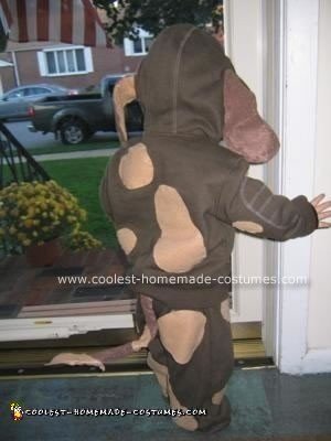 Homemade Dog Costume