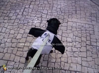 Homemade Dog Costume