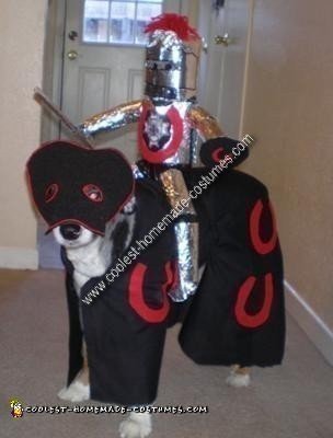 Homemade Dog Costume - Knight and his Horse