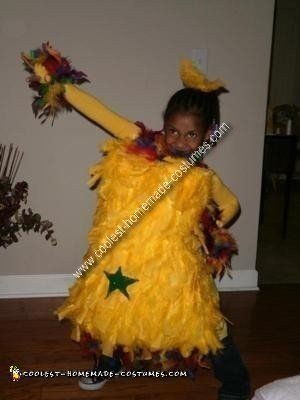 Homemade Dr. Seuss Star Bellied Sneetches Costume