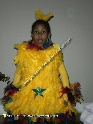 Homemade Dr. Seuss Star Bellied Sneetches Costume