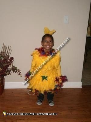 Homemade Dr. Seuss Star Bellied Sneetches Costume