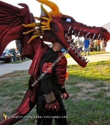 Homemade Dragon Halloween Costume Idea