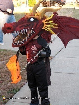 Homemade Dragon Halloween Costume Idea