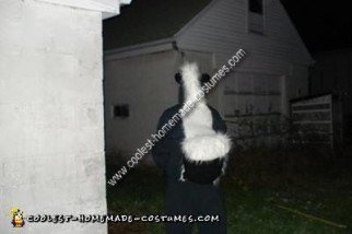 Homemade Drunk as Skunks Couple Costume