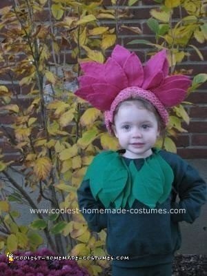 Homemade Flower and Bee Costumes