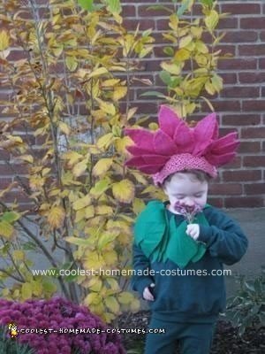 Homemade Flower and Bee Costumes