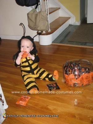 Homemade Flower and Bee Costumes