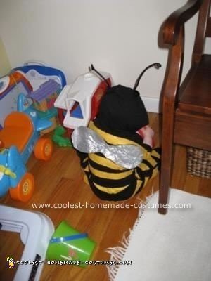 Homemade Flower and Bee Costumes