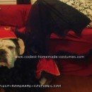 Homemade Flying Monkey from the Wizard of Oz Dog Costume