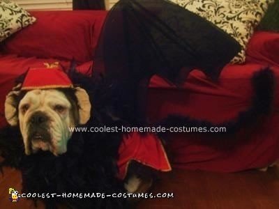 Homemade Flying Monkey from the Wizard of Oz Dog Costume