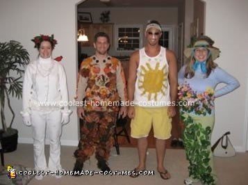 Homemade Four Seasons Group Costume