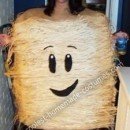 Homemade Frosted Mini Wheat Costume
