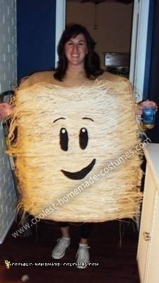 Homemade Frosted Mini Wheat Costume