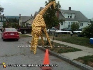 Homemade Giraffe Costume