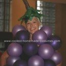 Homemade Grapes Costume