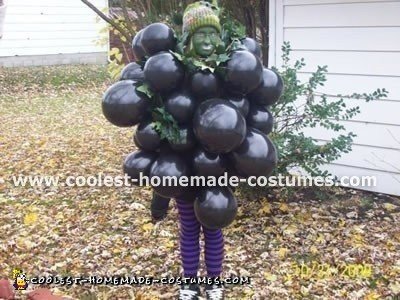 Homemade Grapes Halloween Costume