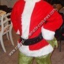 Homemade Grinch Halloween Costume Idea