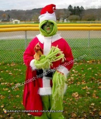 Homemade Grinch Who Stole Halloween Costume