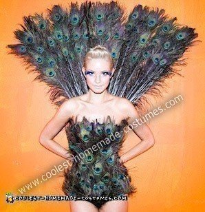 Peacock Costume 3