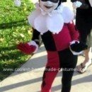 Homemade Harley Quinn from Batman Costume