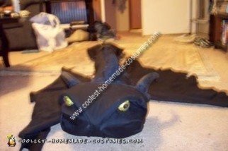 Homemade Hiccup and Toothless Costume from How to Train Your Dragon