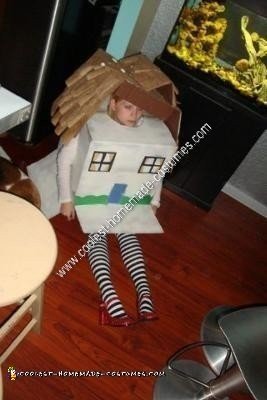 Homemade House That Fell on the Witch of the East Halloween Costume