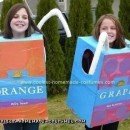 Homemade Juice Box Costume