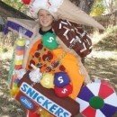 Homemade Junk Food Costume