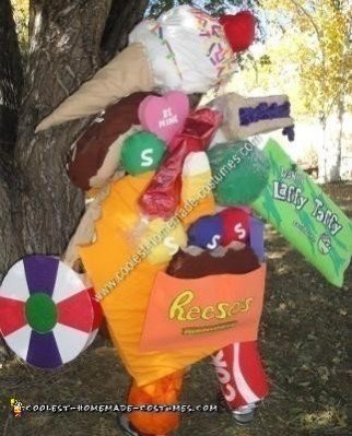 Homemade Junk Food Costume