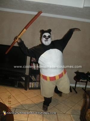 Homemade Kung Fu Panda Costume