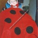 Homemade Ladybug Wheelchair Costume Idea