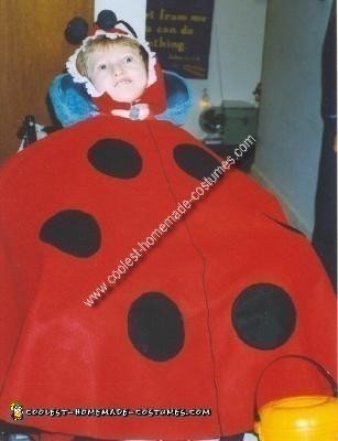 Homemade Ladybug Wheelchair Costume Idea