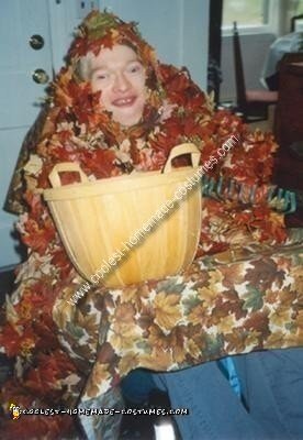 Homemade Leaf Pile Wheelchair Costume