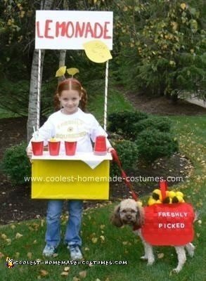 Homemade Lemonade Stand Costume