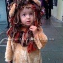 Homemade Lion Costume